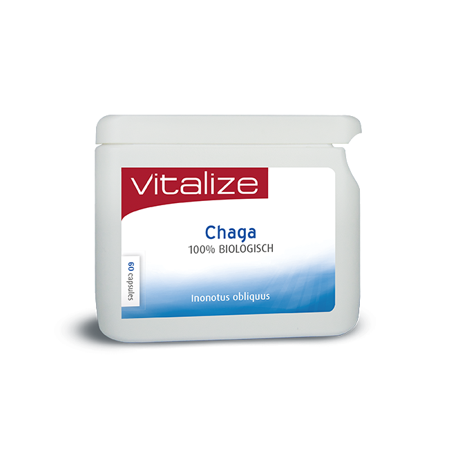 Chaga 100% natuurlijk 60 capsules